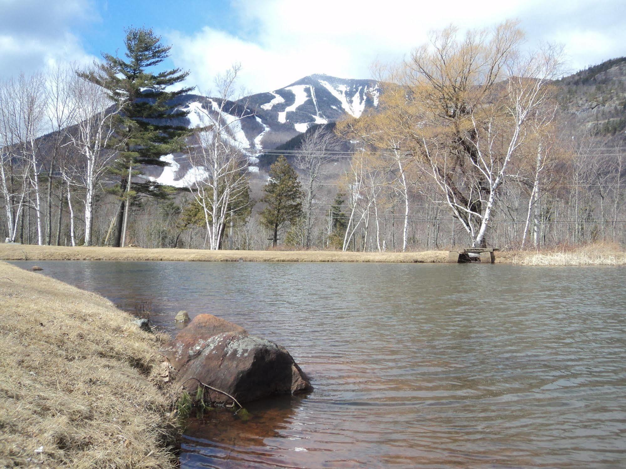 فندق Ledge Rock At Whiteface ويلمنجتون المظهر الخارجي الصورة